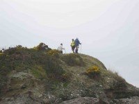 On top of knoll. (John pic)