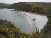 New beach. (John pic)