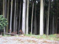 A study in verticality