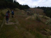 Along the pole line (Helen pic)