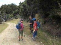 Down the pole line to the hut (Heb pic and caption)