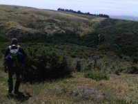 On fence llne track well down to the Lee Creek gully