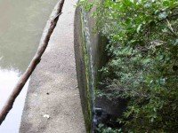 3 Black Gully dam (Ken pic and caption)