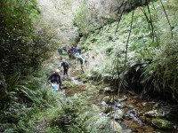 5 Crossing the creek (Ken pic and caption)