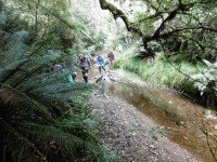 6 An easy crossing (Ken pic and caption)