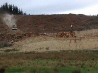 Logs being hauled down to be cut. (Jan pic)