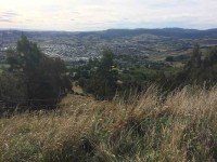 Mosgiel from lookout.