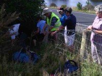 Trampers. A fence scramble. (Helen pic)
