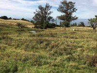 The view from our morning tea spot