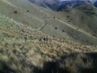 The track we followed. (Helen pic and caption.)