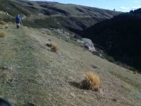 Track. Very deceiving as no flat. (Helen pic and caption.)