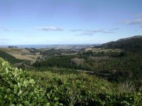 Dunedin view from lookout point. (Adrienne pic.)