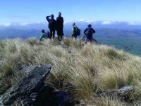 View of Saddle Hill. (Helen pic and caption.)
