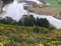 Road and tidal area. (Helen pic and caption.)