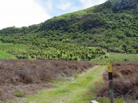 Margaret Hazel slope. (Bruce pic and caption.)