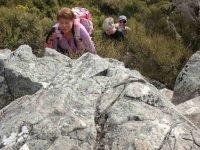 G.4th == Coming out of the bush on to the summitc