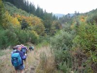 G.8th-- Autum colours heading back to carsc