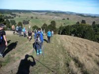 G.4. Heading down to McLaren Gully roadc