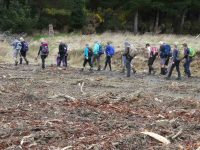 G.6th -- Heading down to Waipori Gorge for lunchc