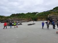 Ocean Beachres