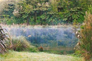 Morning Mist over Lake Mangonui Waitaia Lodge (photo by Greta Cabrita)